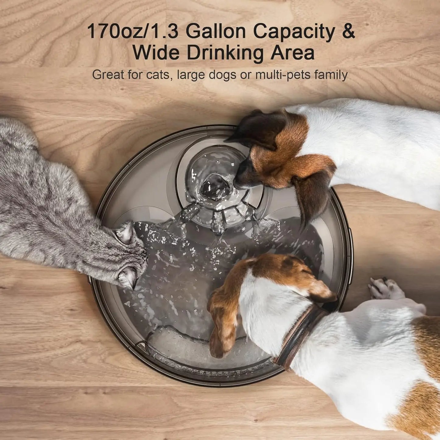 Dog Water Fountain Gallon/5L Large Automatic Pet Water Dispenser