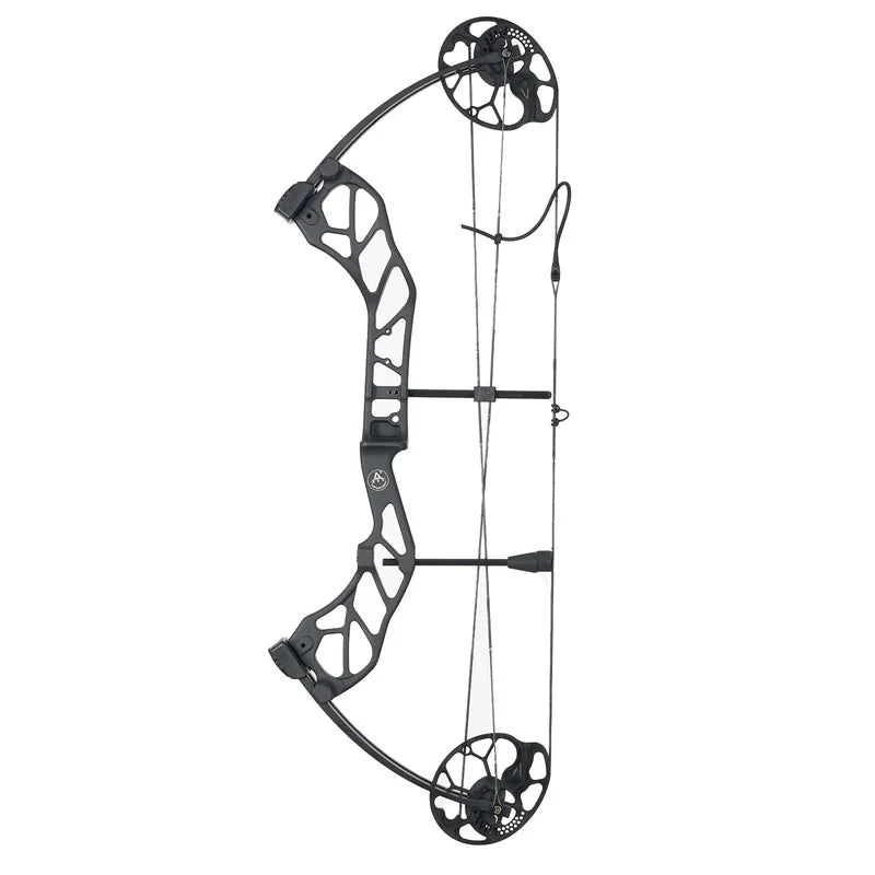 Compound Bow Archery Sets 19-70lbs Draw Weight Adjustable Shooting Right Hand Hunting Bows Adult Beginners Kit Up to IBO 320 Fps