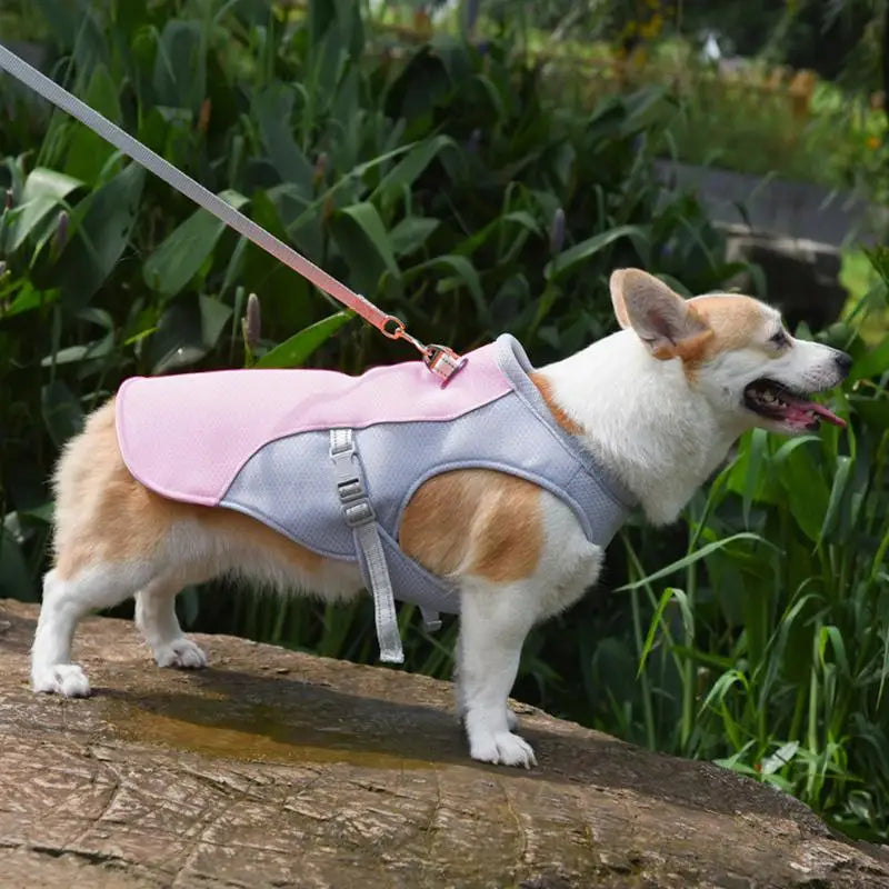 Pet Cooler Vest