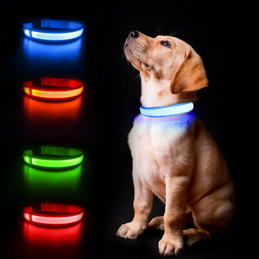 Dog Collar Luminous Waterpoof