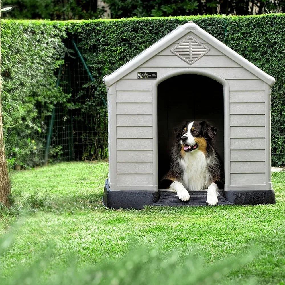 Dog House Outdoor/Indoor