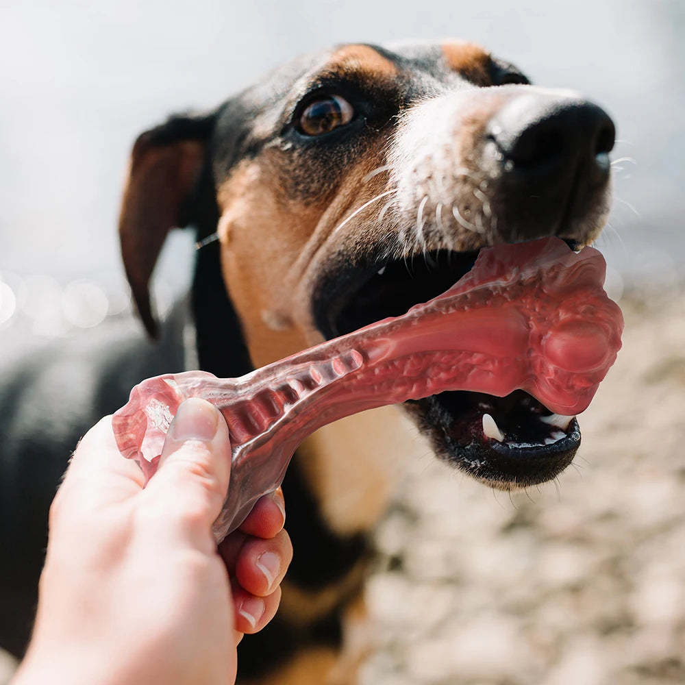 Dog Toys Chewers Large Dogs Bone-Shaped Indestructible