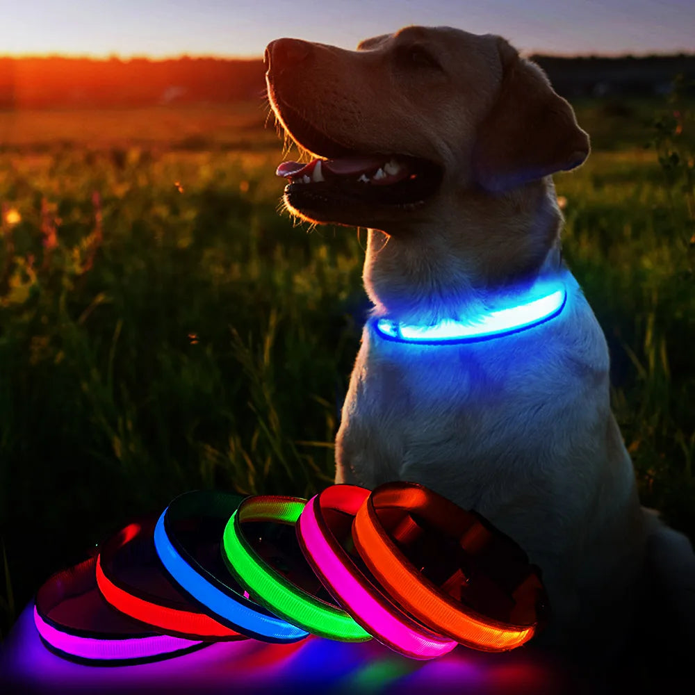 Dog Collar Luminous Waterpoof