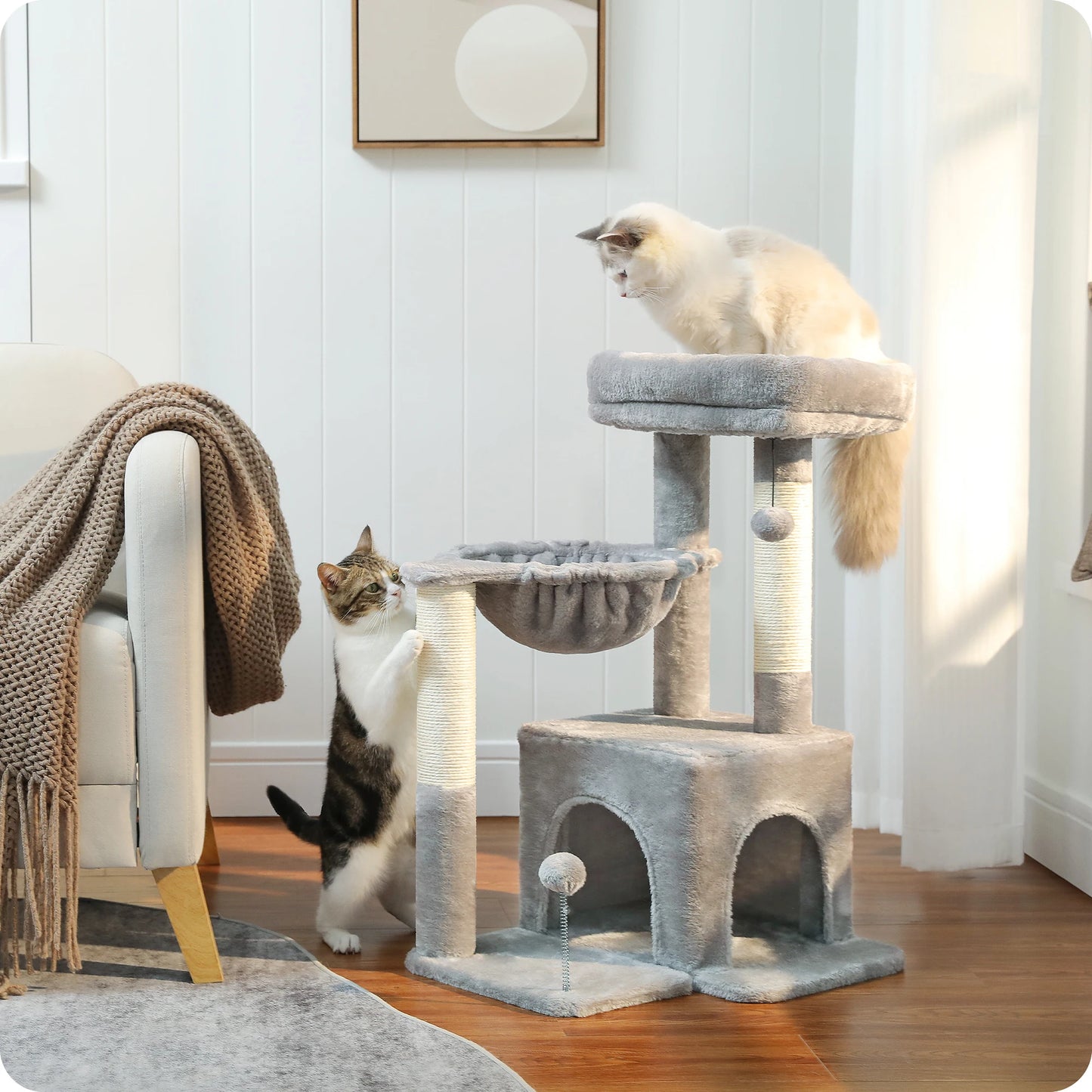 Cat Climbing Scratching Post Tree