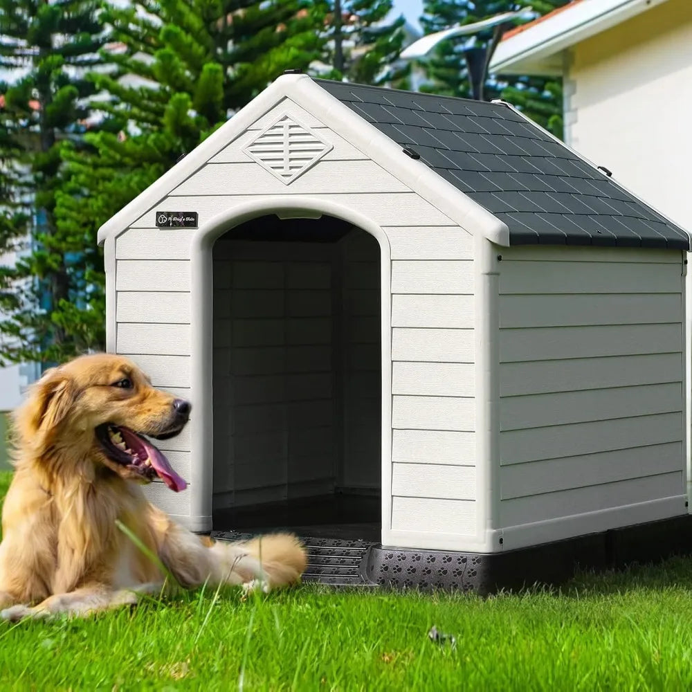 Dog House Outdoor/Indoor