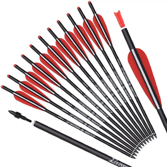 12Pcs 16/18/20inch Carbon Arrows